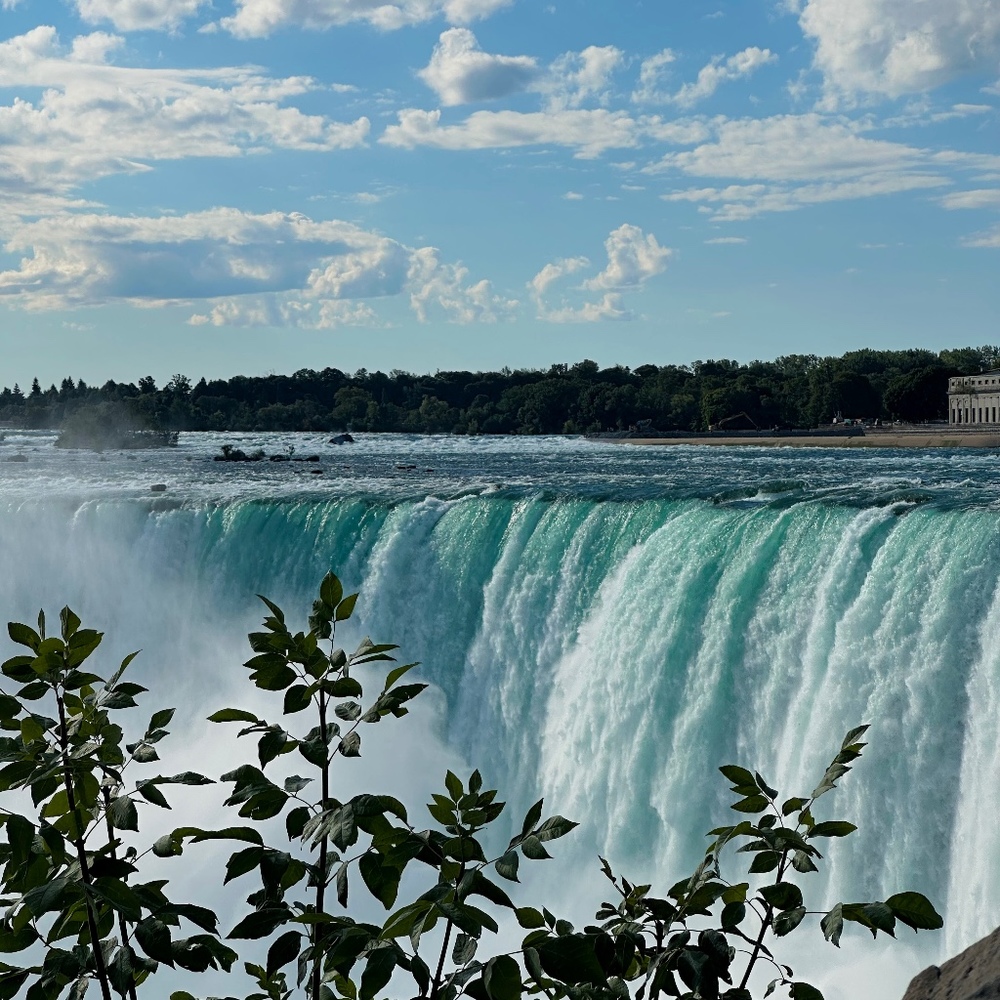 Meet your Posher, Zeynep